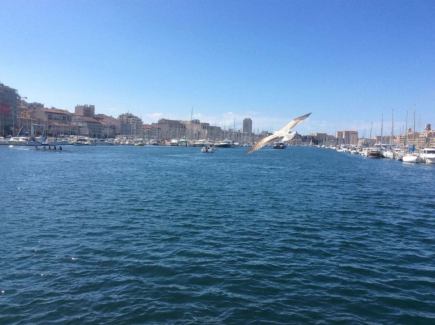 Zeilboten in de oude haven Vieux-Port van Marseille